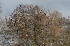 Killikus&reg; Fotographie